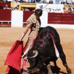 Olivenza, domingo 10 de marzo. Matinal.