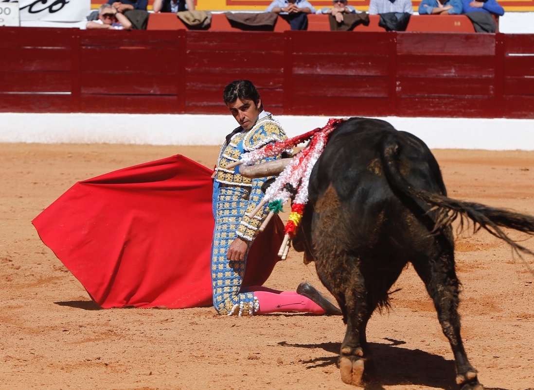Olivenza, domingo 10 de marzo. Matinal.