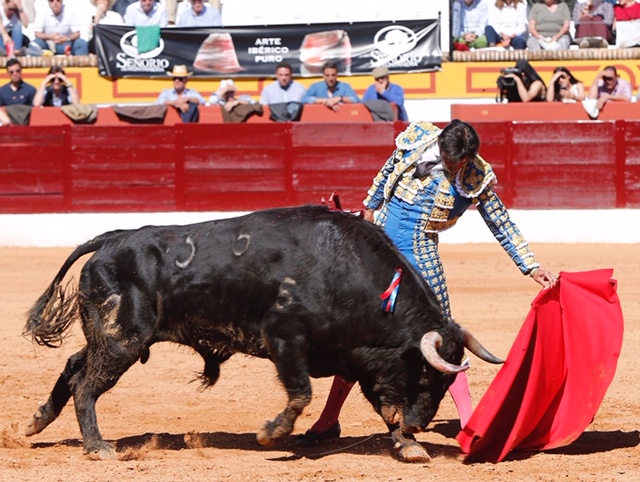 Olivenza, domingo 10 de marzo. Matinal.