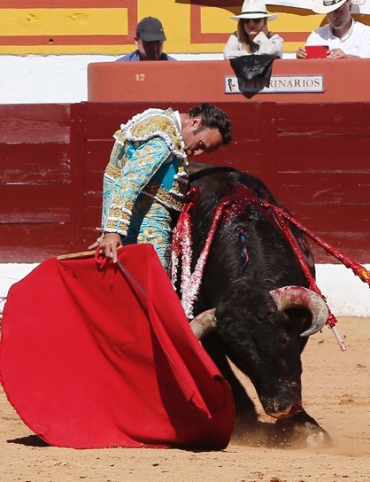 Olivenza, domingo 10 de marzo. Matinal.