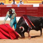 Olivenza, domingo 10 de marzo. Matinal.