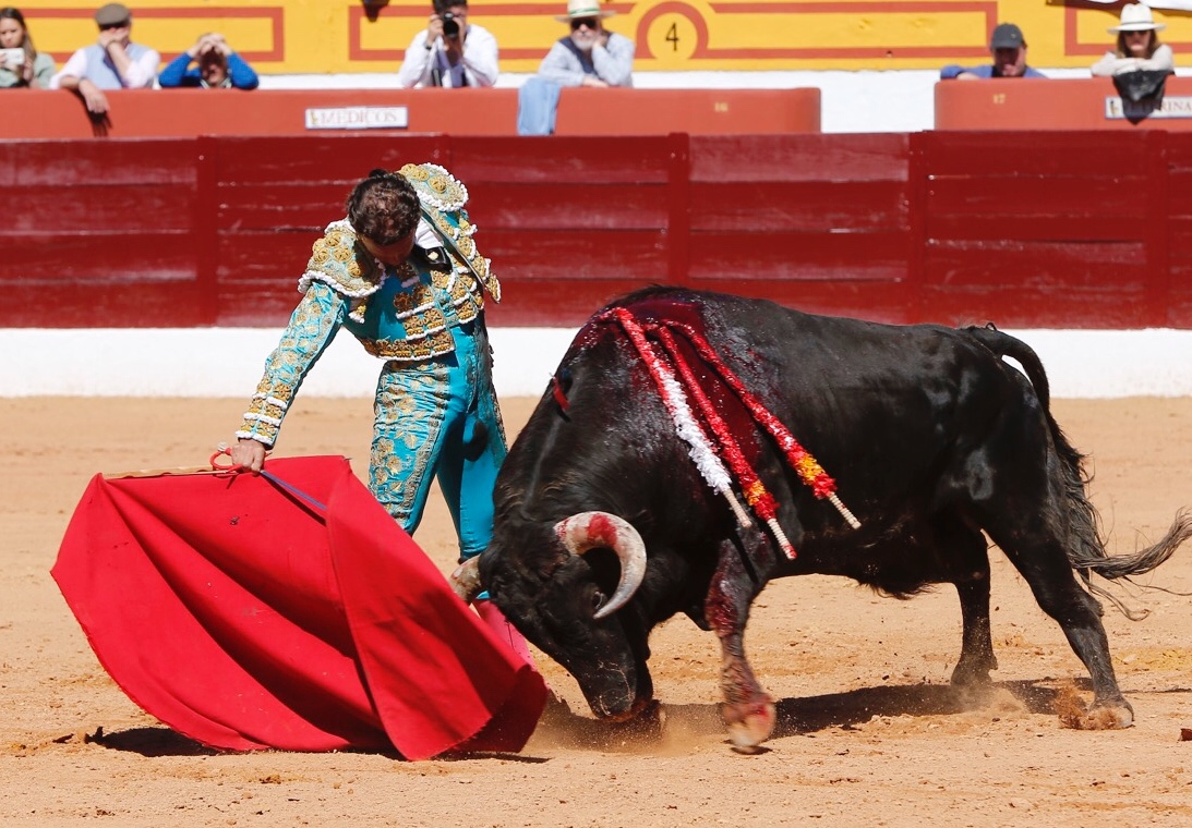 Olivenza, domingo 10 de marzo. Matinal.