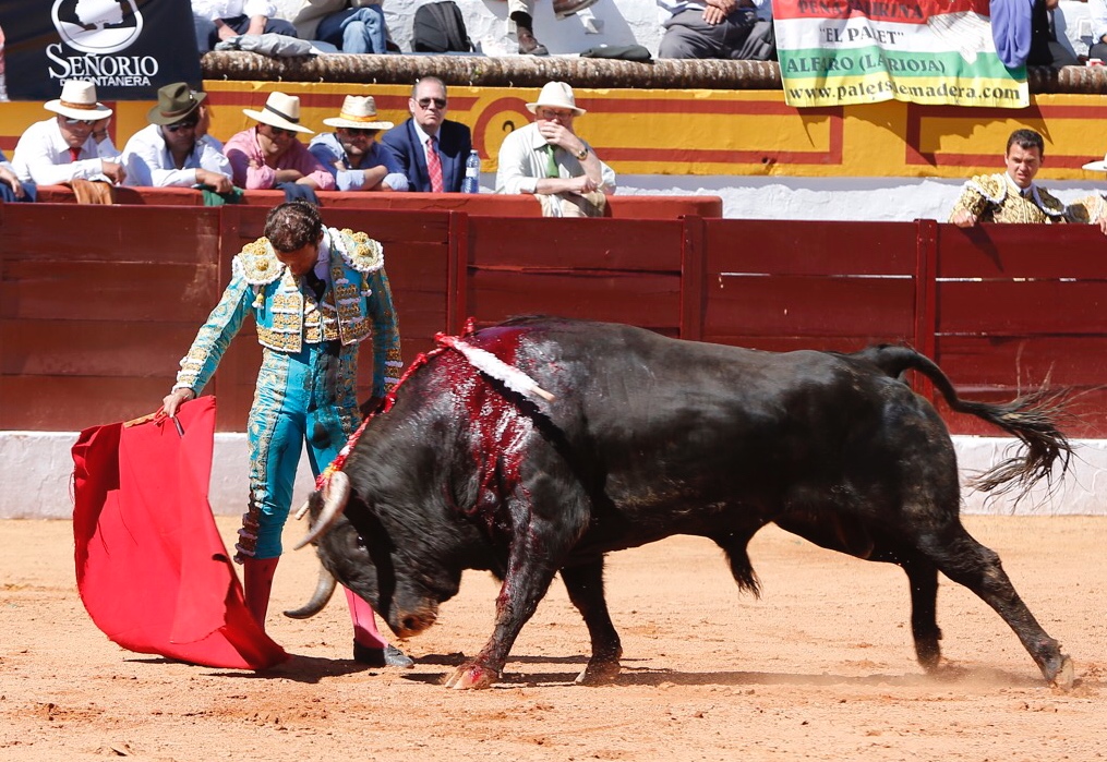 Olivenza, domingo 10 de marzo. Matinal.