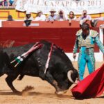 Olivenza, domingo 10 de marzo. Matinal.