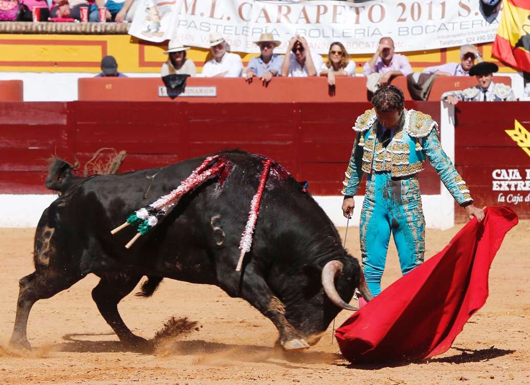 Olivenza, domingo 10 de marzo. Matinal.