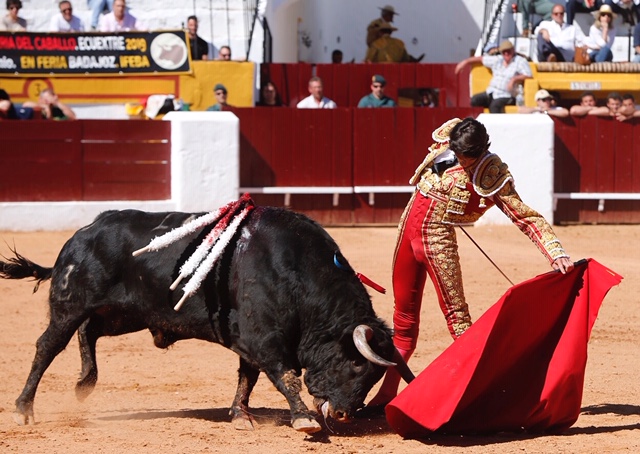 Olivenza, domingo 10 de marzo. Matinal.