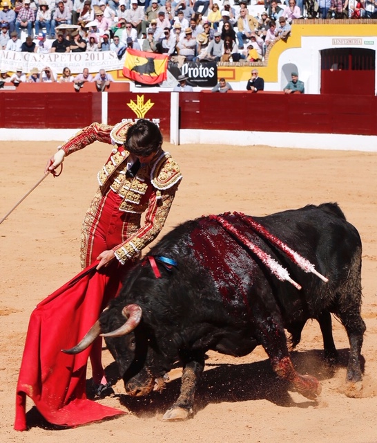 Olivenza, domingo 10 de marzo. Matinal.