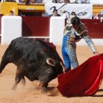 Olivenza, domingo 10 de marzo. Matinal.