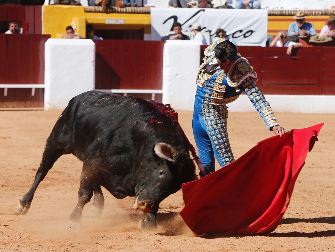 Olivenza, domingo 10 de marzo. Matinal.