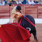 Olivenza, domingo 10 de marzo. Tarde