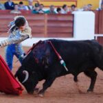 Olivenza, domingo 10 de marzo. Tarde.