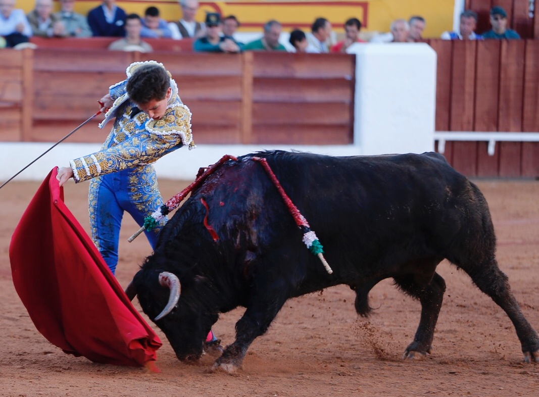Olivenza, domingo 10 de marzo. Tarde.