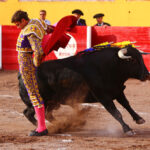 Olivenza, domingo 10 de marzo. Tarde.