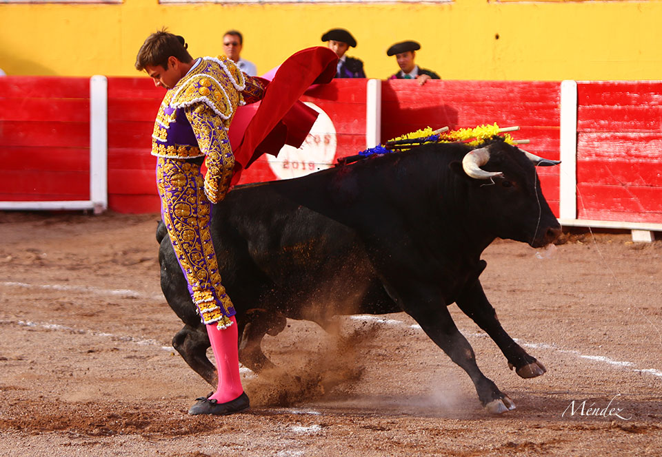 Olivenza, domingo 10 de marzo. Tarde.
