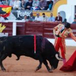 Olivenza, domingo 10 de marzo. Tarde.