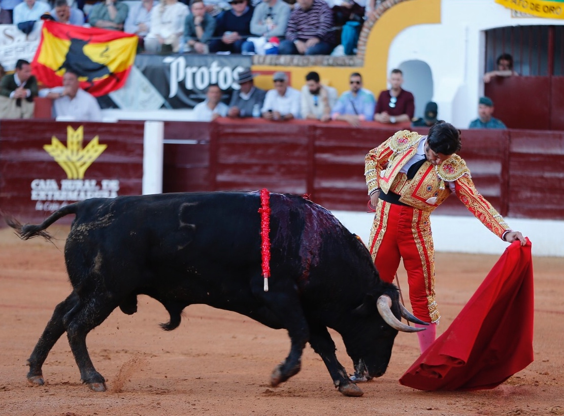 Olivenza, domingo 10 de marzo. Tarde.