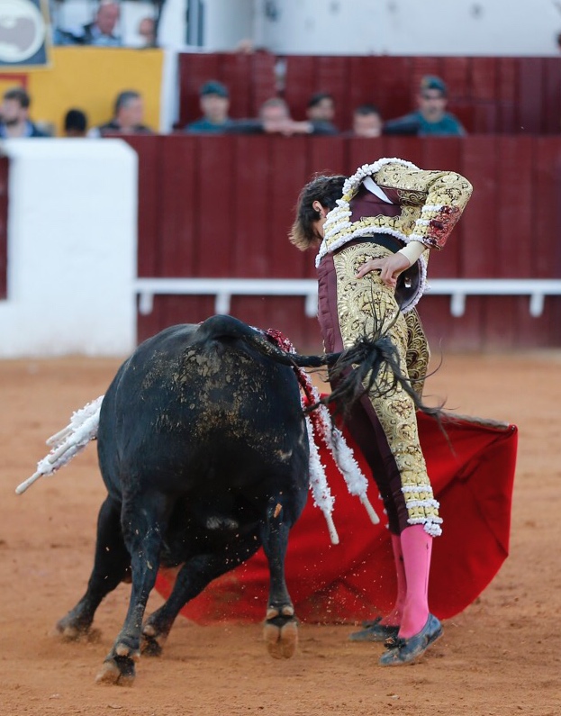 Olivenza, domingo 10 de marzo. Tarde.