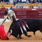 Olivenza, domingo 10 de marzo. Tarde.