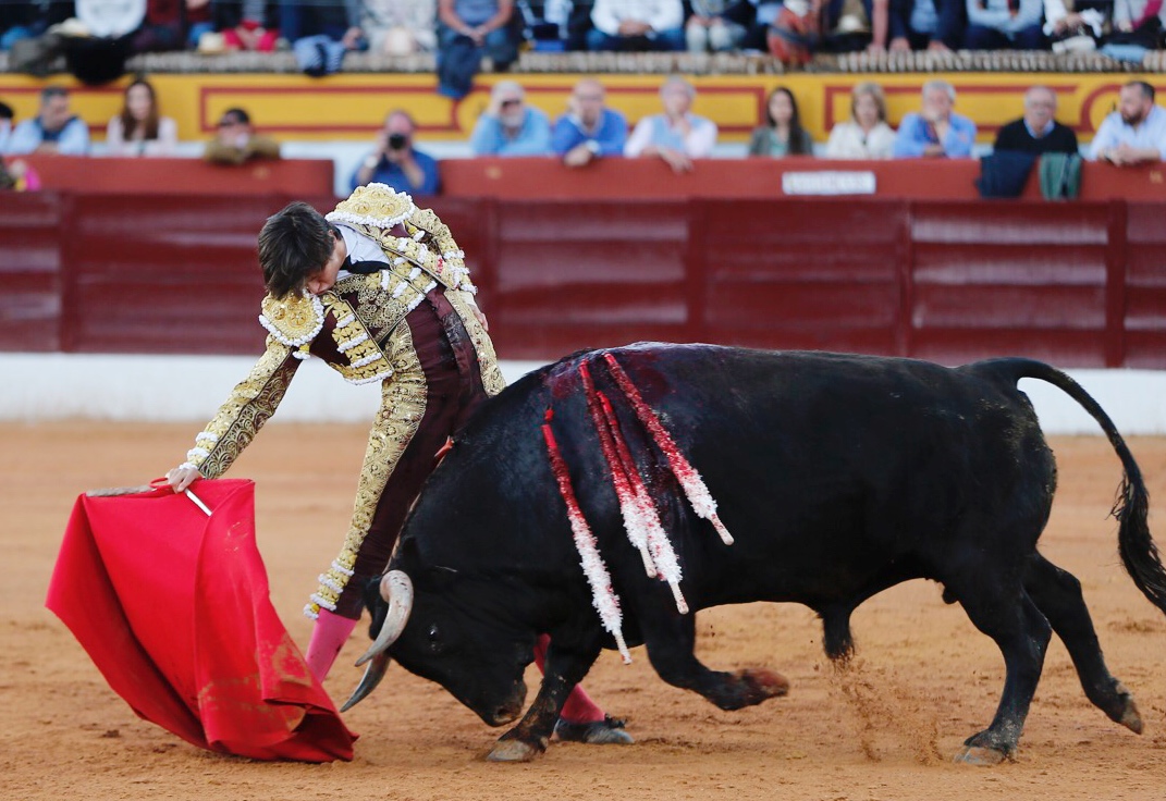 Olivenza, domingo 10 de marzo. Tarde.