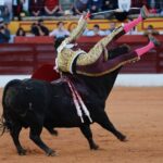 Olivenza, domingo 10 de marzo. Tarde.