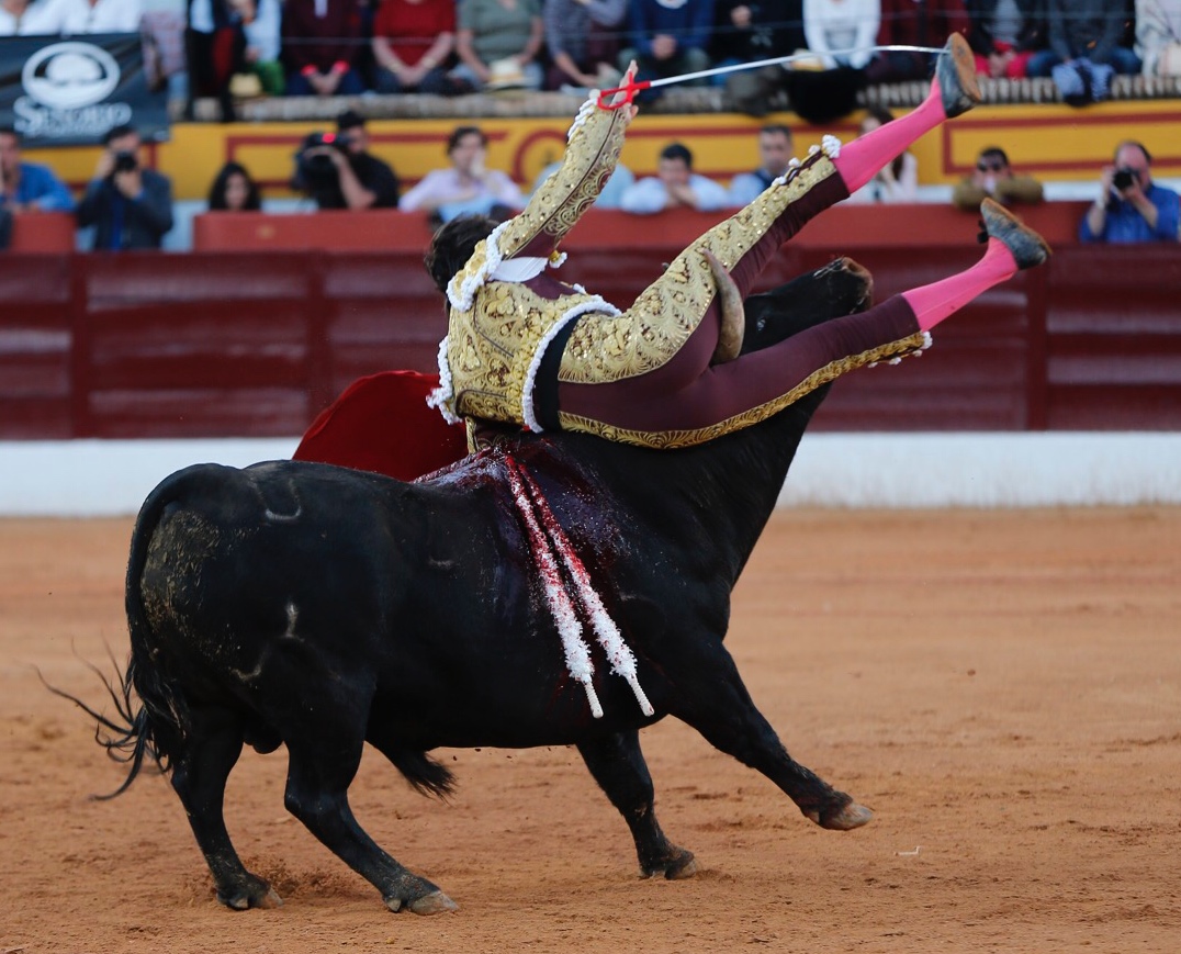 Olivenza, domingo 10 de marzo. Tarde.