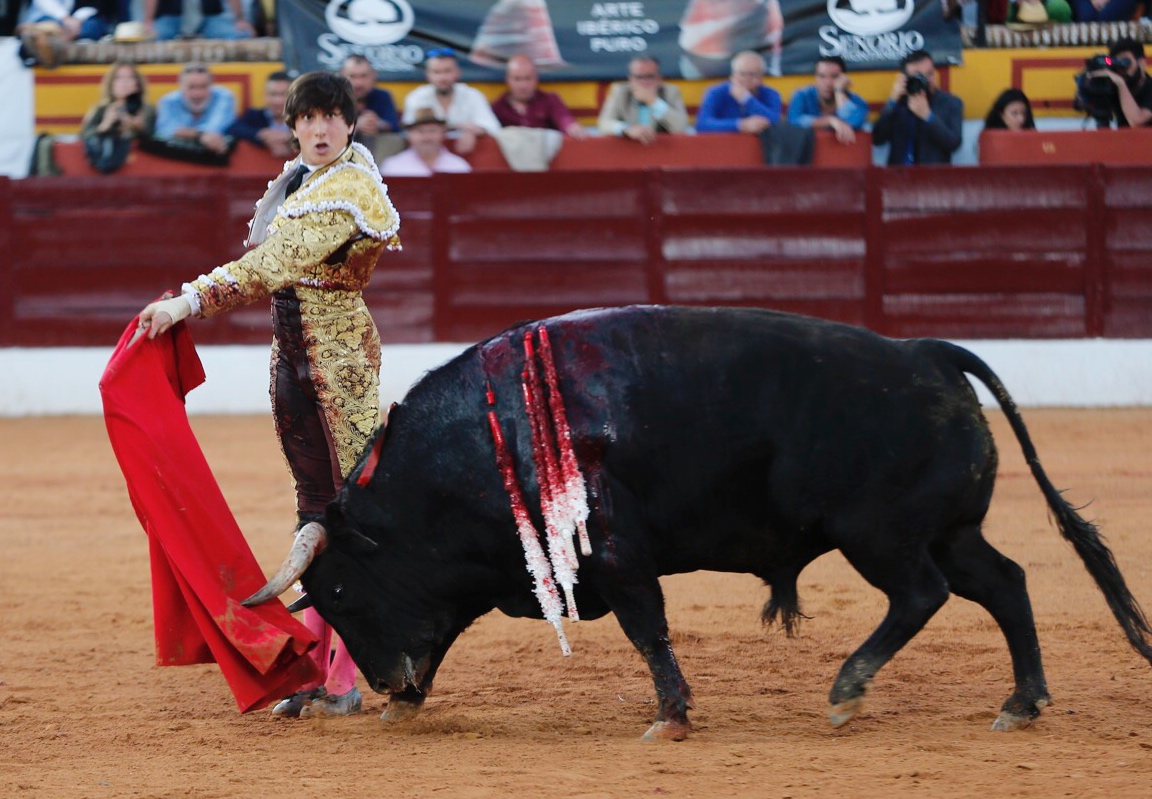 Olivenza, domingo 10 de marzo. Tarde.