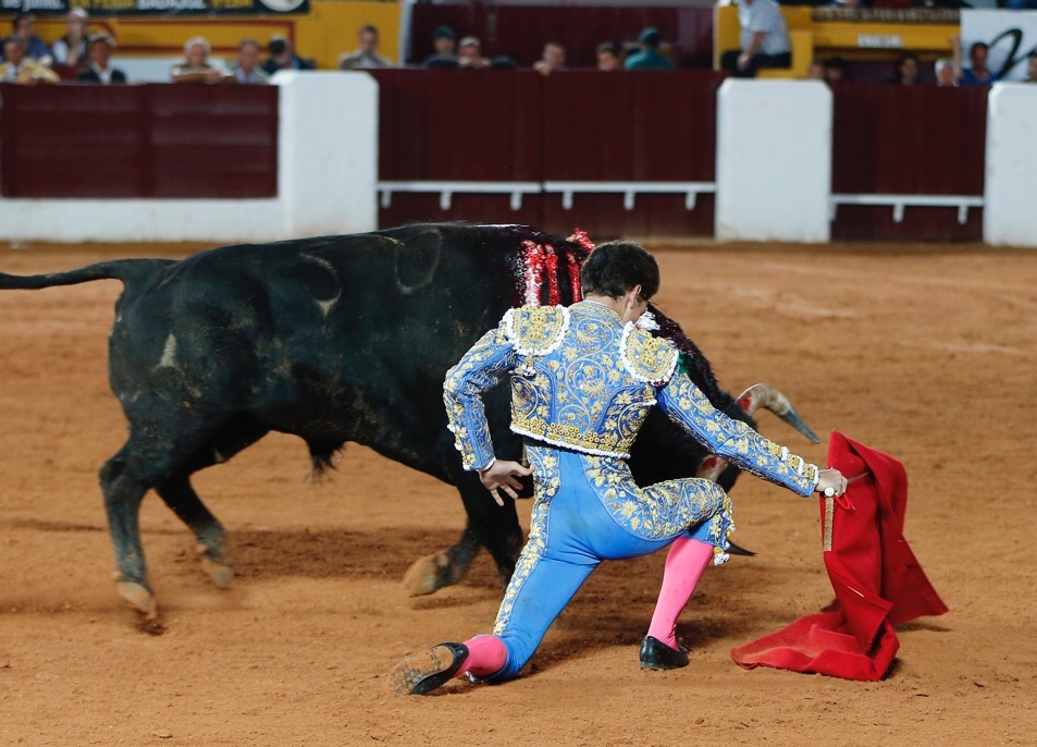 Olivenza, domingo 10 de marzo. Tarde.