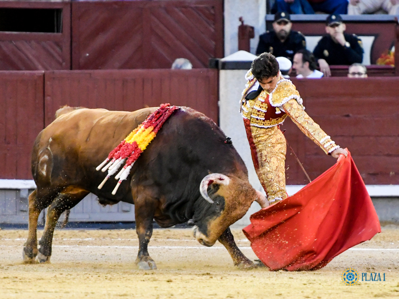 Madrid, domingo 24 de marzo de 2019