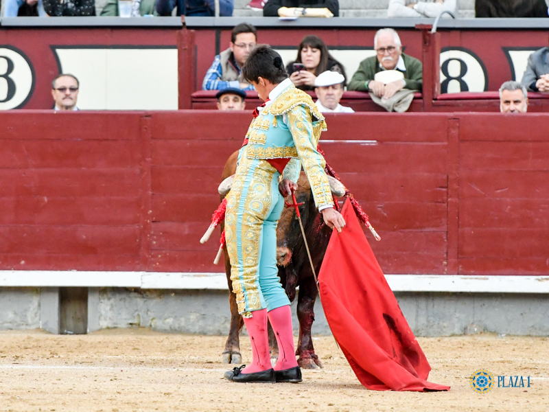 Madrid, domingo 24 de marzo de 2019