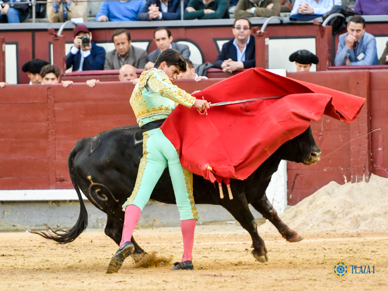 Madrid, domingo 24 de marzo de 2019