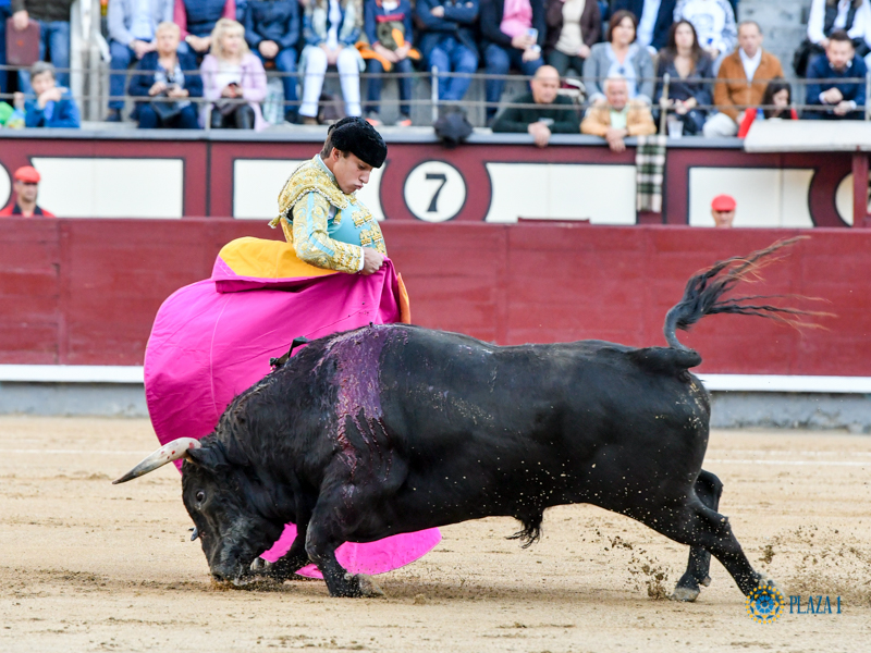 Madrid, domingo 24 de marzo de 2019