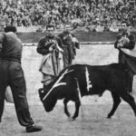 Valencia C.F., cien años de goles y oles