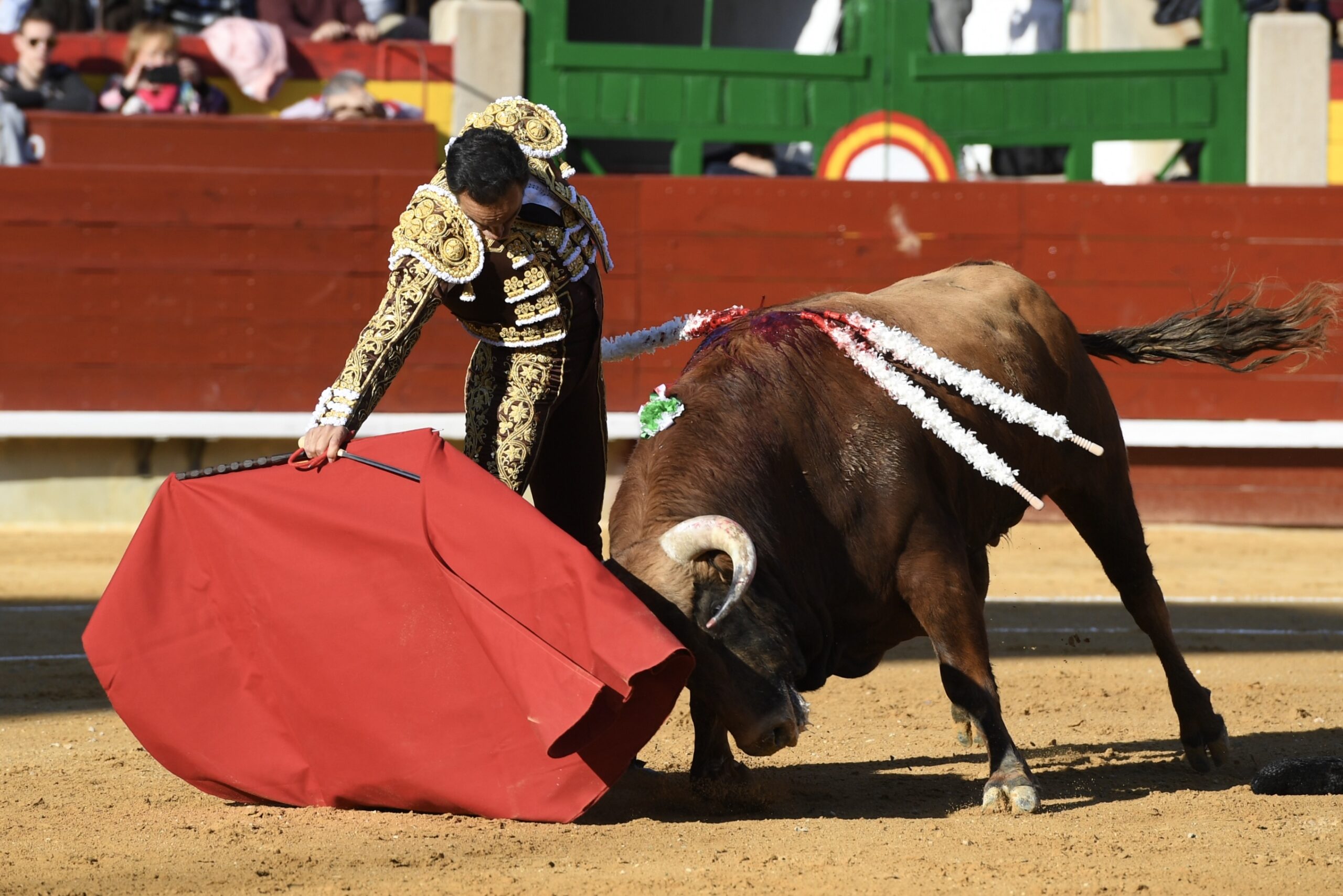 Oreja para El Cid en su adiós a Castellón