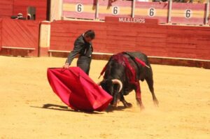 Almería - Festival benéfico - Domingo 1 de abril de 2018