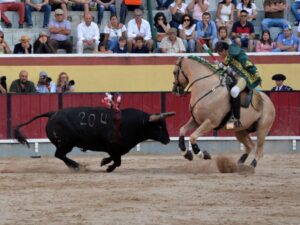Vila Franca de Xira (Portugal), domingo 8 de julio de 2018