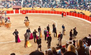 Ricla, sábado 9 de marzo de 2019. Festival