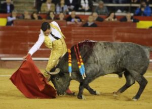 Valencia, domingo 10 de marzo de 2019