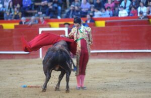 Valencia, sábado 9 de marzo de 2019.