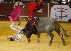 Vistalegre, sábado 23 de febrero de 2019