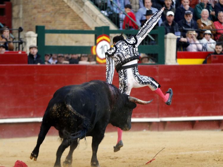Ponce, cornada de dos trayectorias y rotura del ligamento lateral interno y del cruzado