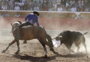 Guillermo Hermoso de Mendoza paseó una oreja.