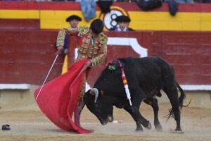 El Ceci, la sorpresa de la tarde.