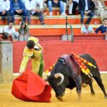 Guadalajara, sábado 6 de abril de 2019