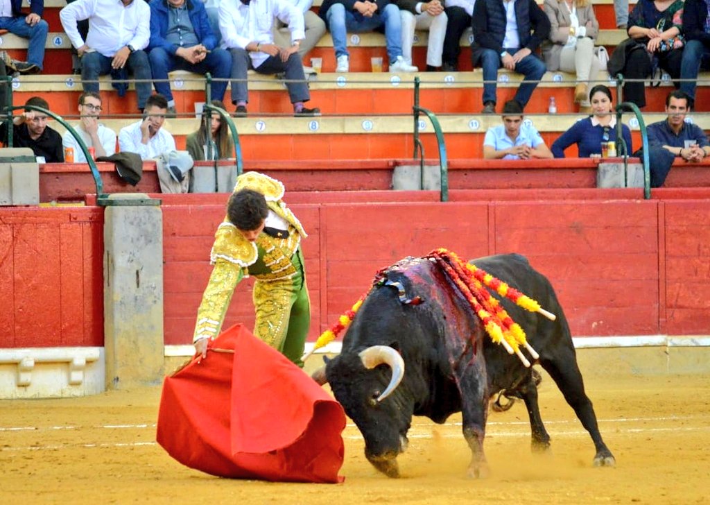 Guadalajara, sábado 6 de abril de 2019