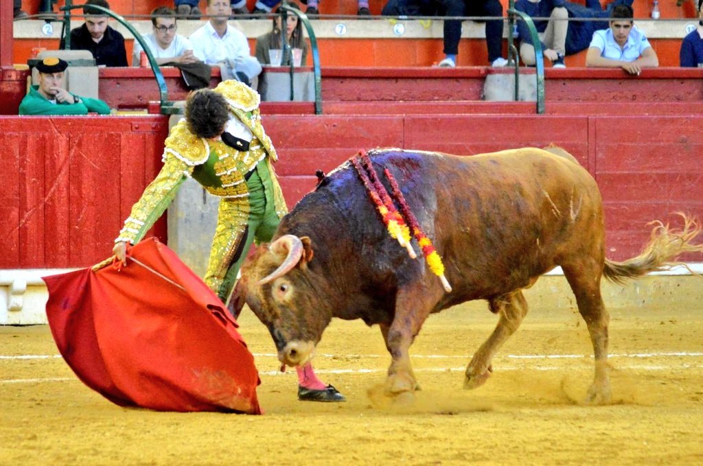Guadalajara, sábado 6 de abril de 2019