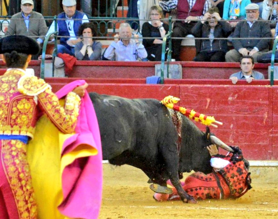 Guadalajara, sábado 6 de abril de 2019.