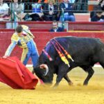 Guadalajara, sábado 6 de abril de 2019.