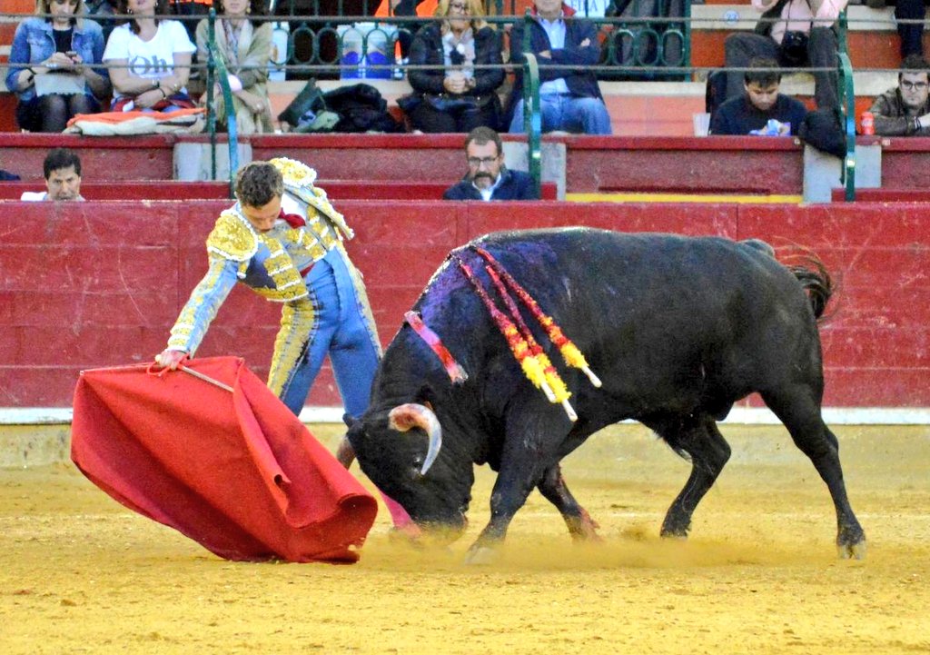 Guadalajara, sábado 6 de abril de 2019.