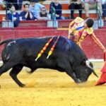 Guadalajara, sábado 6 de abril de 2019.