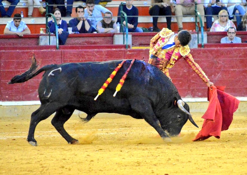 Guadalajara, sábado 6 de abril de 2019.